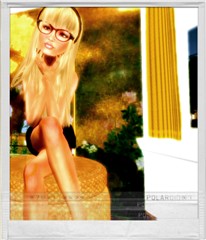 Polaroid Moment