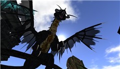 WM Dragons Temple - Koinup Burt