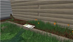 Greenies_078