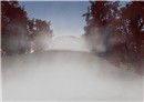 island shot_001