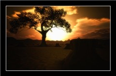 Shadow of a Day