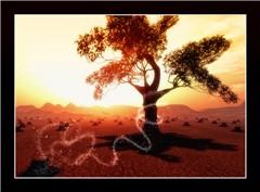 Treehugger