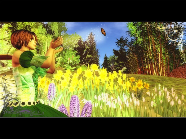 Spring's Wish