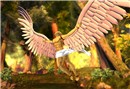 Freedom