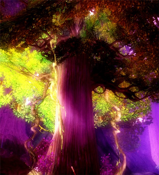 A wonderful tree