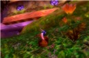 A druid