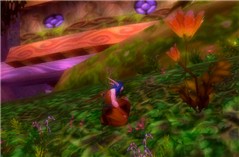 A druid
