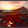Roses in the sea