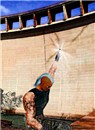 wall