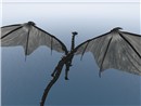 I AM DRAGON (29)