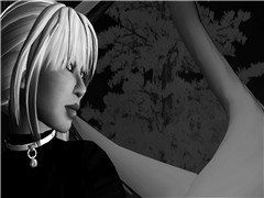 Winter Tree_003