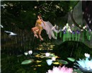 flower_009