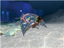Angler_002