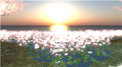Snapshot_191
