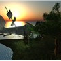 Snapshot_198