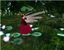 forest_001