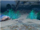 Snapshot_026
