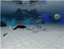 Snapshot_025