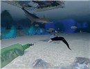 Snapshot_024