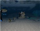 Snapshot_022