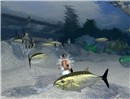 Snapshot_027