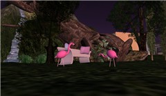 Byte Island - Koinup Burt