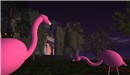 Byte Island - Koinup Burt