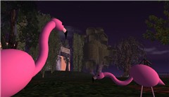 Byte Island - Koinup Burt