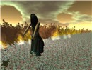 tag: windlightnoprocessingcontest - Milla Alexandre