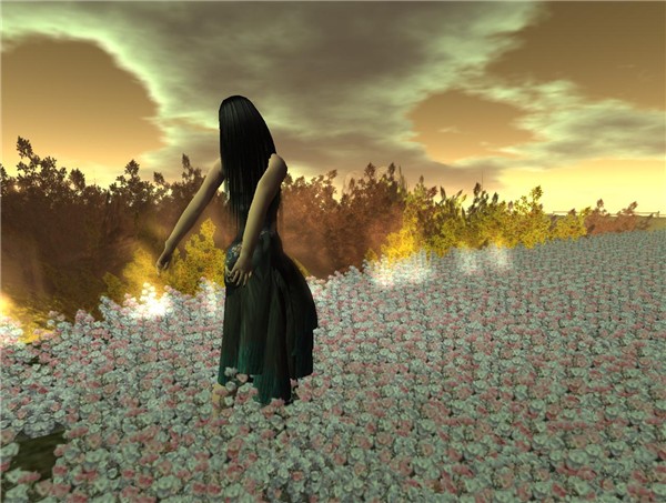 tag: windlightnoprocessingcontest - Milla Alexandre