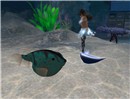 Snapshot_034