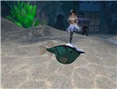 Snapshot_033