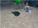 Snapshot_032
