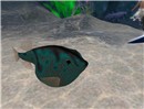 Snapshot_031