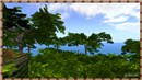 mexico01