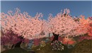 tempura island - Koinup Burt