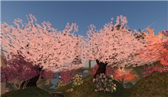 tempura island - Koinup Burt