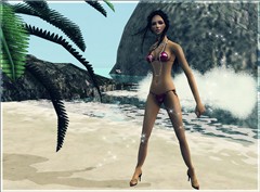 On the beach