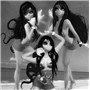 CherrysStarSwimsuit1-1-1