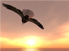 Up Up the Sky