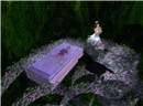 Snapshot_016