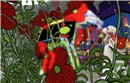 Coquelicot