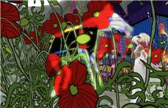 Coquelicot