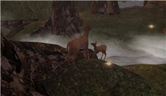 tempura island - Koinup Burt