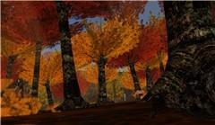 SL Photo safari - Koinup Burt