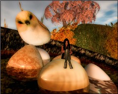 SL Photo Safari