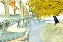 Snapshot_272