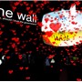 the wall - Chimera Cosmos