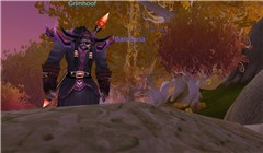 WoWScrnShot_082008_211022