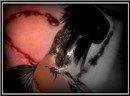 Everybody hurts